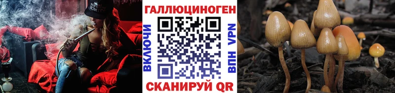 Купить где  Зубцов  Псилоцибиновые грибы мухоморы 